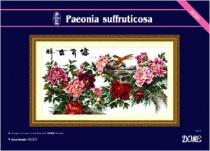 ��ǰ ������